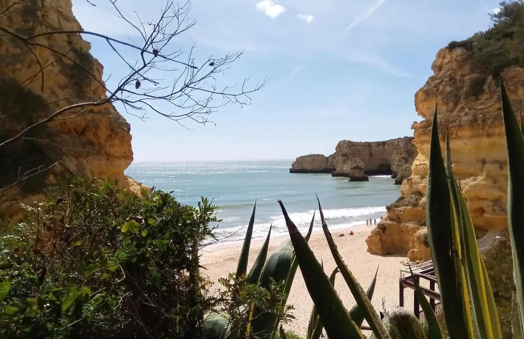 Albufeira Beach Apartment-1