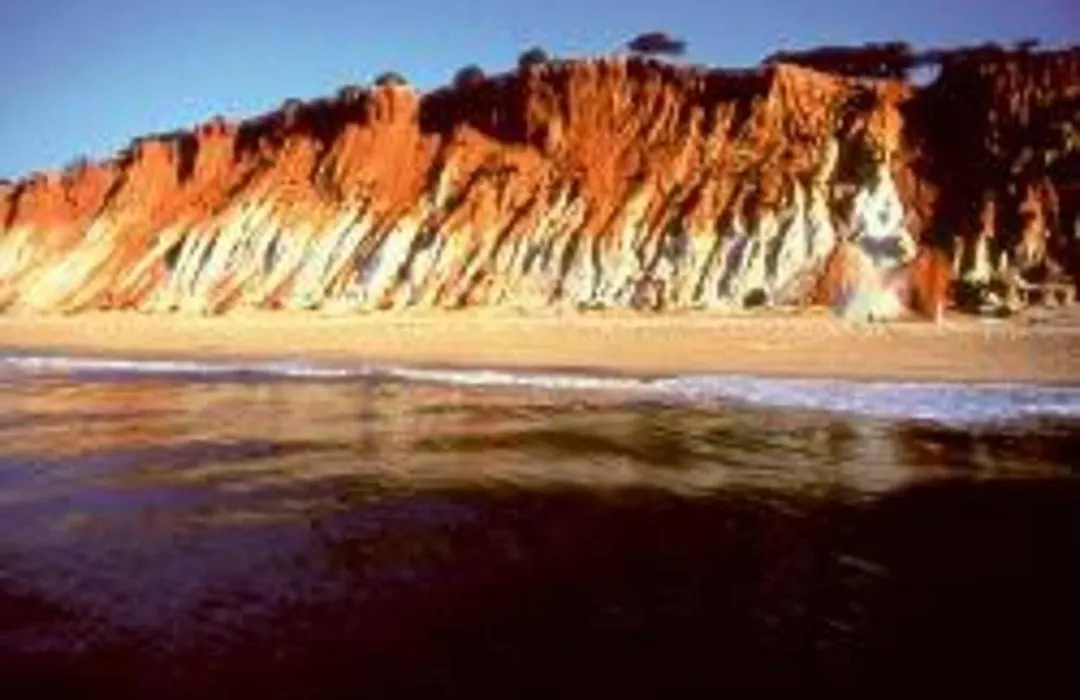 Studio - Praia Da Falesia - Algarve-1