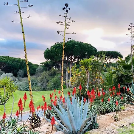 Algarve Luxury Experience - Situated Within The Pinecliffs Resort-2
