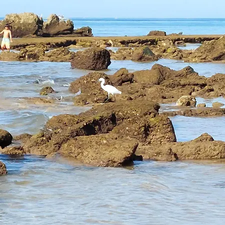 Paradise In Olhos D'Agua Beach-3